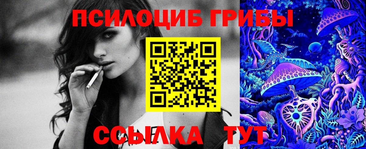 Псилоцибиновые грибы прущие грибы Большой Камень