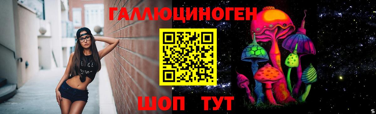 Большой Камень  Галлюциногенные грибы мицелий  Вход с VPN 